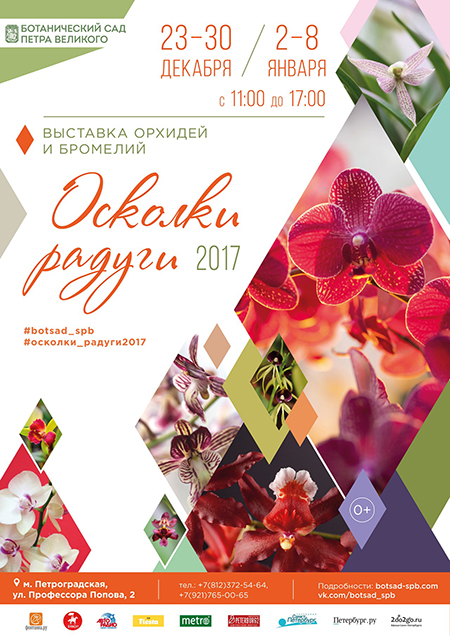 Крупнейшая в стране выставка орхидей в Ботаническом саду Петра Великого