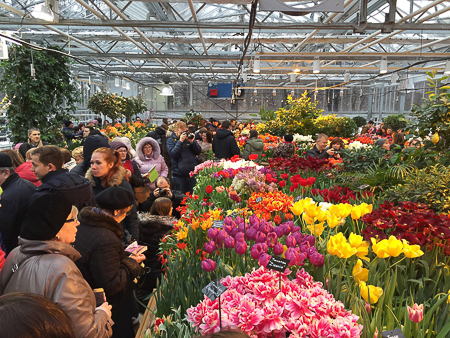 10 тысяч тюльпанов и других весенних цветов на выставке «Репетиция весны» в Москве