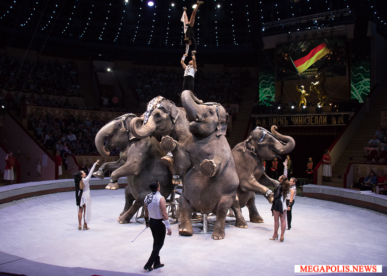 Первый Международный фестиваль циркового искусства "На Фонтанке"