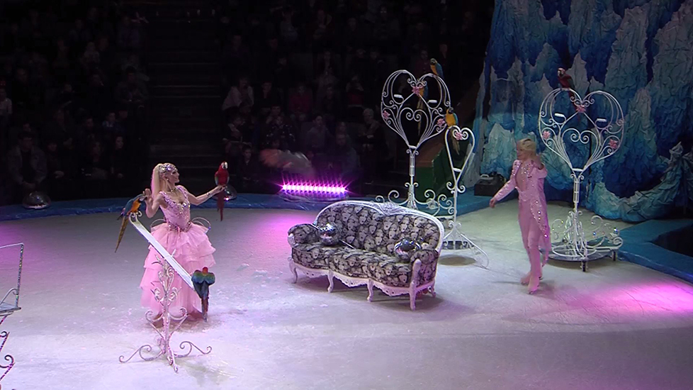 Премьера цирковой программы «Цирк на льду» в Петербурге