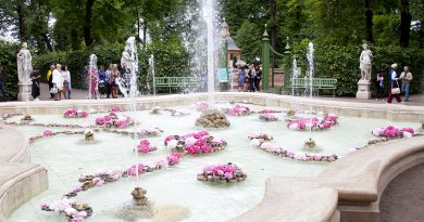 Благоухающий фонтан и тысячи цветов: фестиваль в Летнем саду