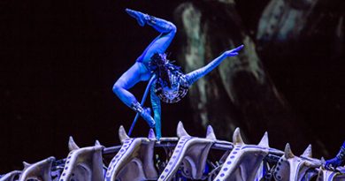 Шоу Cirque du Soleil «ТОРУК – Первый полет»
