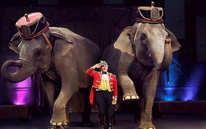 Итальянский цирк Togni выступит в Петербурге