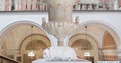 Французский гражданин завещал часть своего наследства котам Эрмитажа