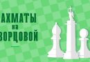 Шахматный фестиваль прошёл на Дворцовой