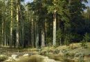«Русский лес» покажут в Русском музее