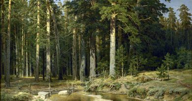 «Русский лес» покажут в Русском музее